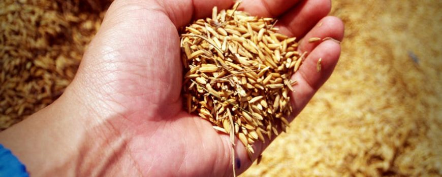 Noul-viitor-al-agriculturii