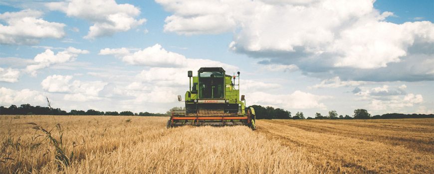 Decizia-care-inclina-balanta-subventiilor-intre-fermierii-mari-si-cei-mici