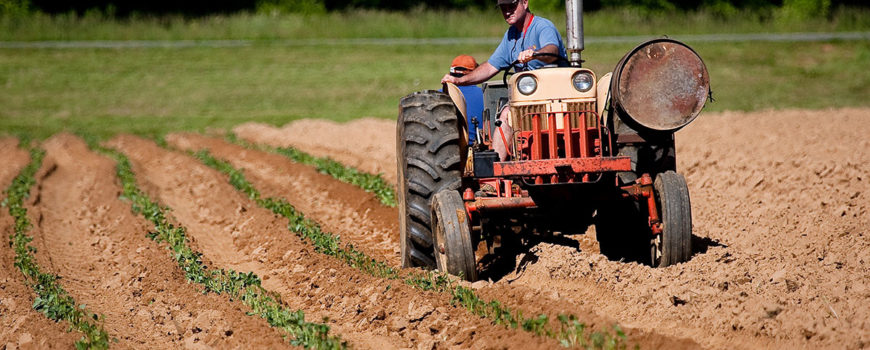 Ce-li-se-pregateste-fermierilor-romani!