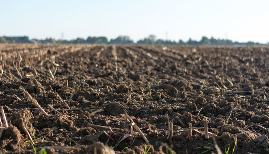 Cuantum-pe-hectar-pentru-2020-pentru-subventiile-APIA-suplimentare